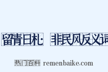 留青日札·非民风反义词是什么意思的图片